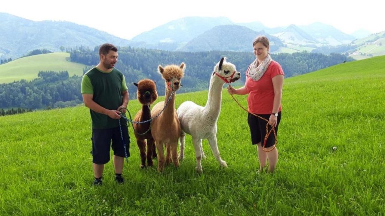 Mitterhirschberg, Familie Schweighuber Appartement Waidhofen an der Ybbs Buitenkant foto